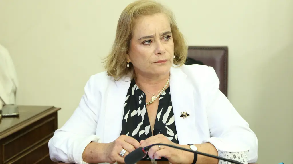 Weisse llamó al Gobierno y al resto de los parlamentarios a respaldar la iniciativa y acelerar su discusión en el Congreso.