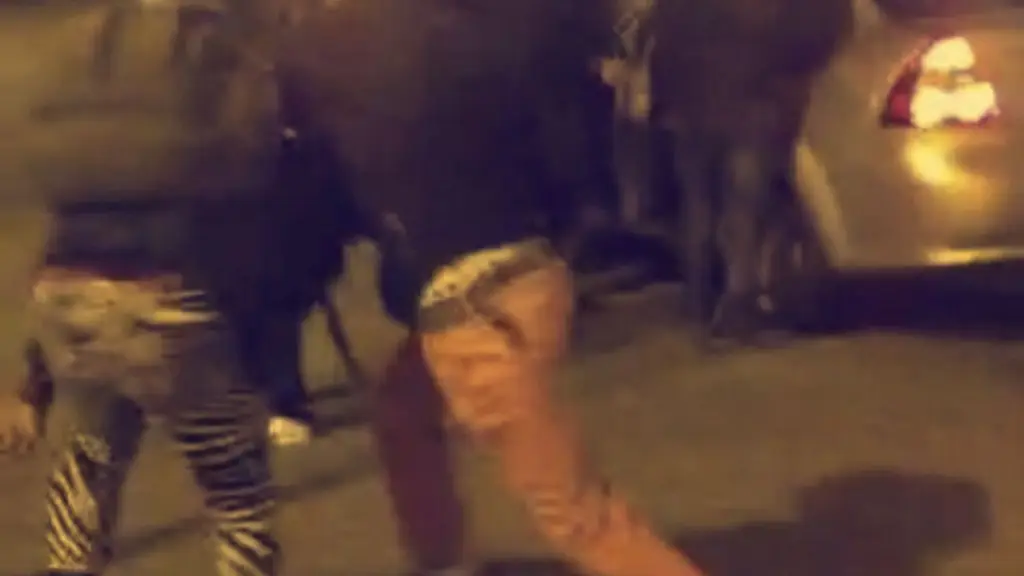 Referencial , Diario La Tribuna