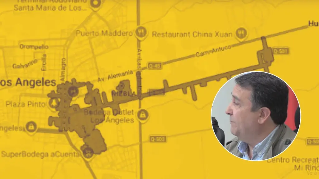 Caída de rama provocó masivo corte de electricidad en Los Ángeles, Diario La Tribuna