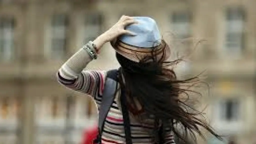 Ráfagas de viento de hasta 70 km/h se pronostican para esta semana en Biobío, referencial