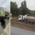 Producto de la fuerza del impacto, ambos ocupantes del vehículo menor perdieron la vida en el lugar., noticiaslosrios.cl