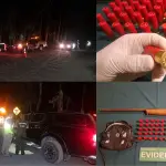 Servicio extraordinario de ronda y fiscalización preventiva en Nacimiento, Cedidas