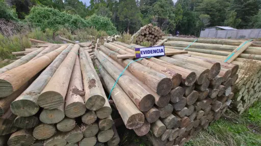 Estafa con cheque sin fondos: PDI recupera parte de carga de polines vendida por más de $5 millones