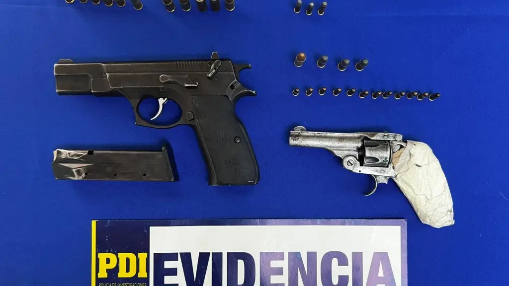 Parte de las especies incautadas en operativo policial en Hualqui, PDI Biobío