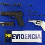 Parte de las especies incautadas en operativo policial en Hualqui, PDI Biobío
