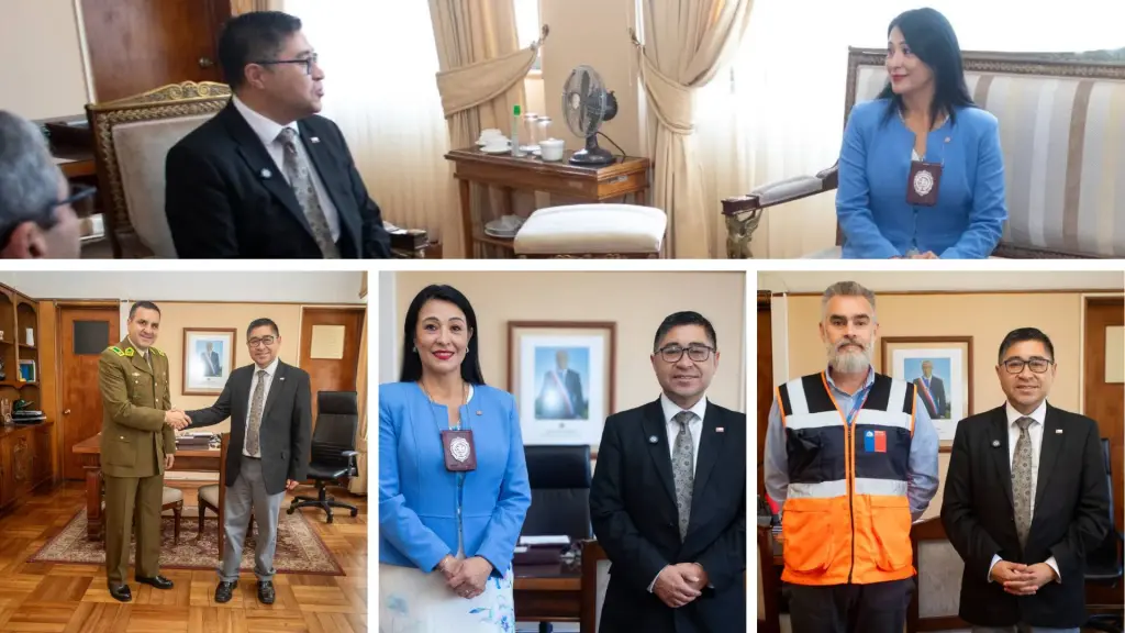 Las reuniones se realizaron en dependencias de la Delegación Presidencial Regional del Biobío y abordaron materias de seguridad pública y preparación ante emergencias en la zona., Delegación Presidencial Regional