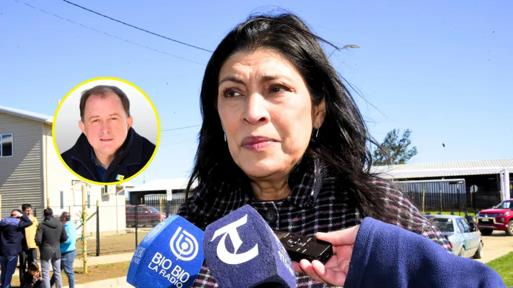 María Luz Gajardo ejercía como directora regional del Serviu Biobío desde octubre de 2023., La Tribuna