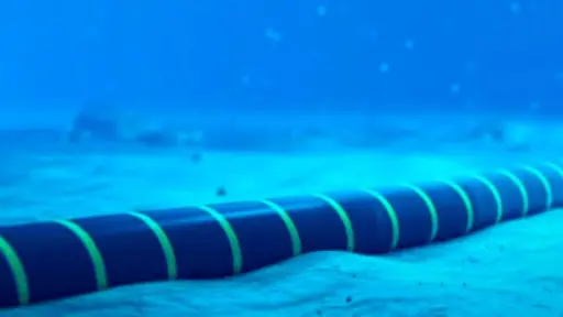 Preocupación silvoagropecuaria: Socabio advierte riesgos por la controversia del cable chino