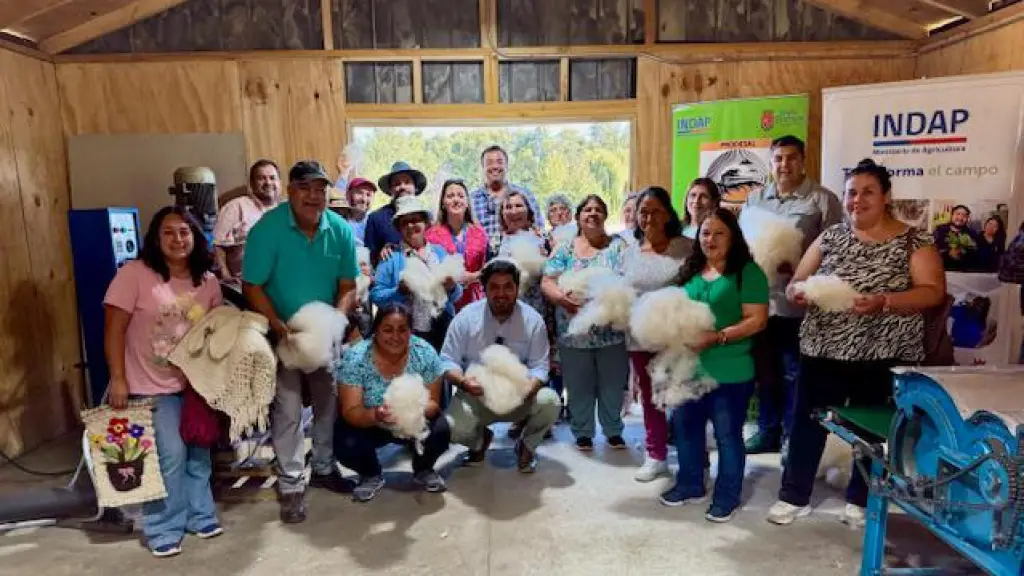 Región del Biobío cuenta con la primera Sala de lavado y cardado de lana» con apoyo de INDAP en Santa Bárbara, Indap Biobío 