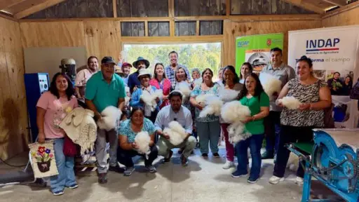 Región del Biobío cuenta con la primera Sala de lavado y cardado de lana en Santa Bárbara