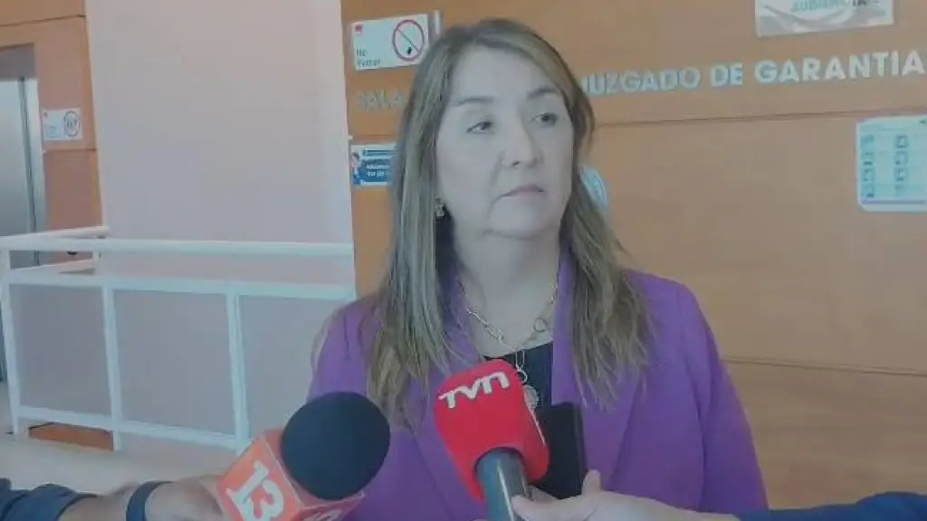Fiscal de Ñuble Nayalet Mansilla, La Tribuna