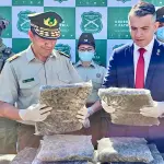 Incautación de droga en el norte del país., Ministerio Público