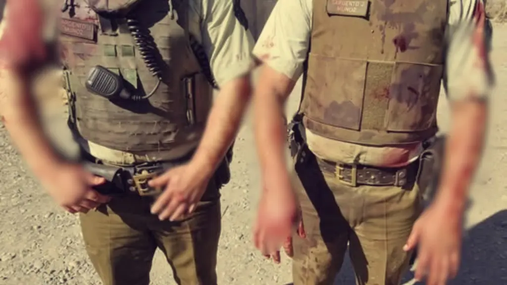 Hombre dejó a dos carabineros lesionados tras golpearlos y morderlos en Rancagua, Diario La Tribuna