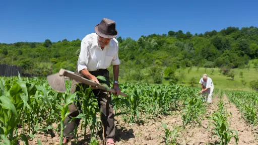 El desafío demográfico del campo chileno: FEDEFRUTA alerta sobre el crítico envejecimiento rural y escasez de relevo