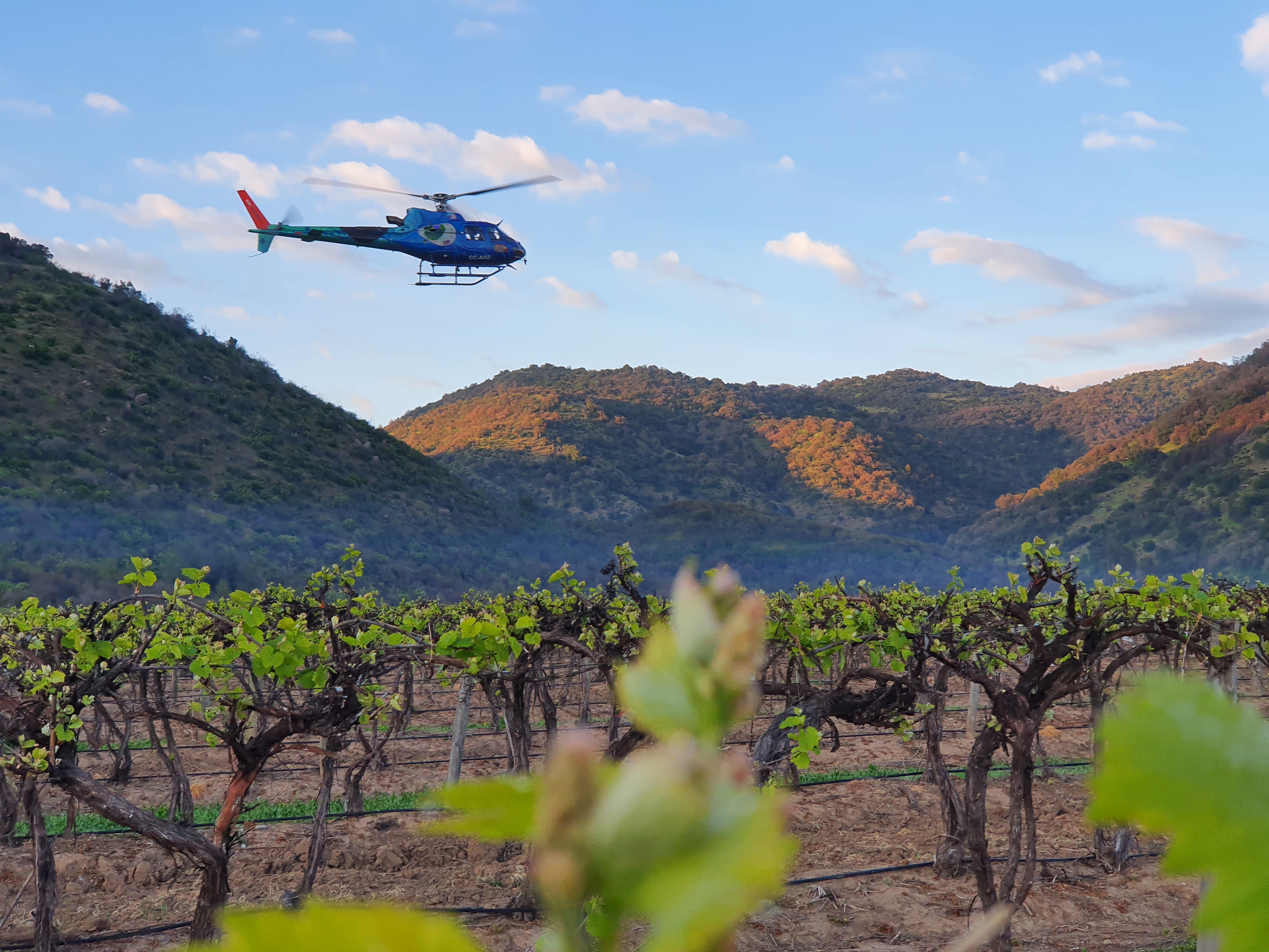 Foto de contexto. / Ecocopter