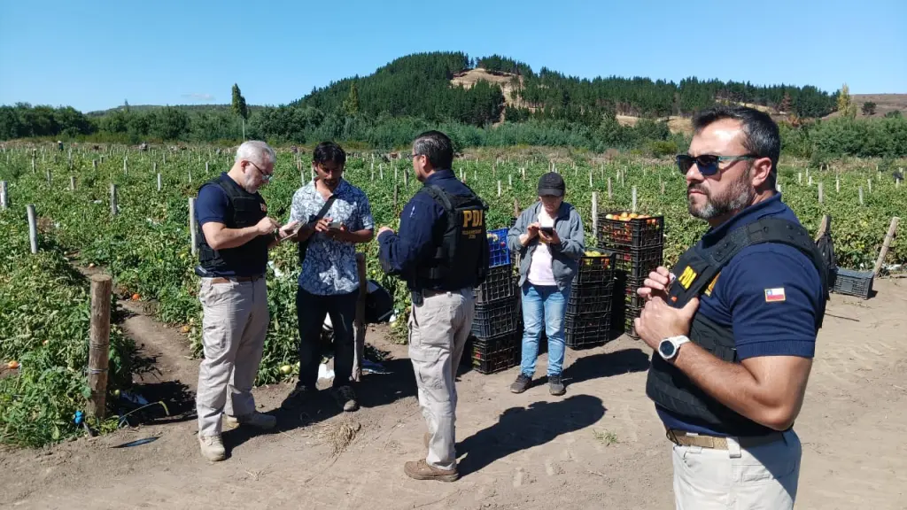 Durante el operativo se controló a 12 personas extranjeras., PDI Araucanía