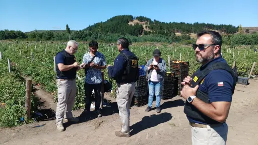 Fiscalización migratoria en sector rural de Angol deja cinco extranjeros denunciados