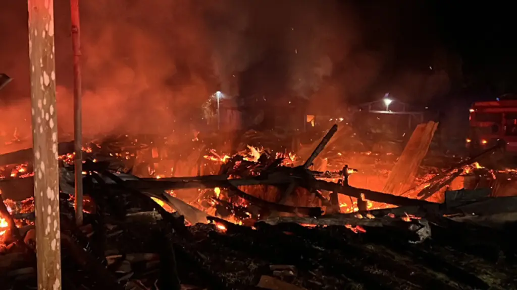 Atentados en La Araucanía: gremios forestales esperan medidas efectivas del próximo gobierno, referencial