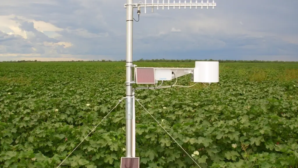 La resiliencia de los campos depende de la implementación de medidas preventivas, como el riego tecnificado, la limpieza de cortafuegos y el mantenimiento de sistemas de drenaje.