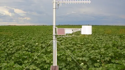 Presentan guía práctica para enfrentar amenazas climáticas y sanitarias en el sector silvoagropecuario