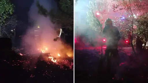 Controlan incendio forestal tras seis horas de trabajo en Los Ángeles