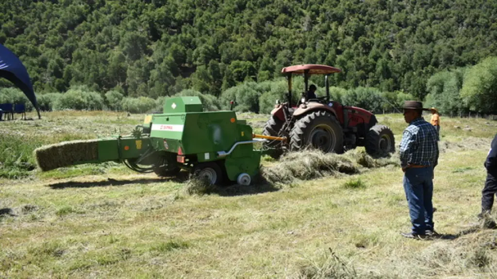 Una moderna enfardadora recibió la Asociación Agrícola Pehuen Mawida de Alto Biobío, Indap Biobío 