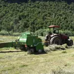 Una moderna enfardadora recibió la Asociación Agrícola Pehuen Mawida de Alto Biobío, Indap Biobío 