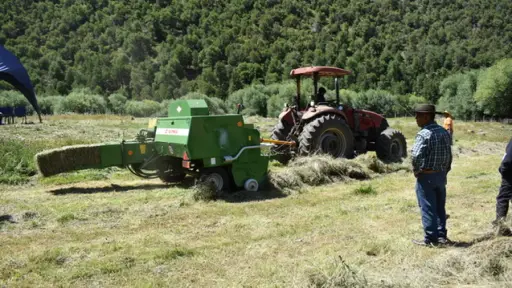 Alto Biobío: Familias implementan tecnología con nueva enfardadora