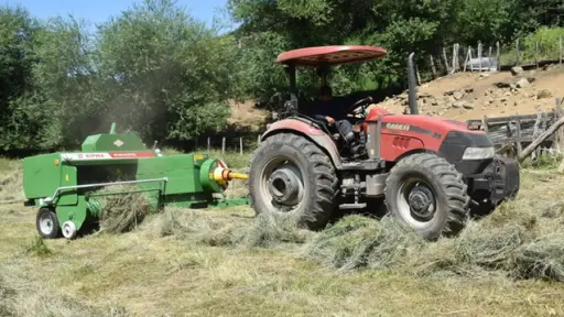 A 20 grados bajo cero y sin pasto: la solución que encontraron familias pehuenches para salvar su ganado