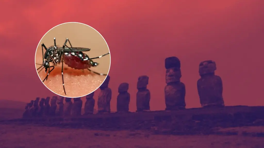 . El paciente permanece en buen estado y se activaron medidas de vigilancia, aislamiento y control sanitario en la isla., contexto