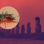 . El paciente permanece en buen estado y se activaron medidas de vigilancia, aislamiento y control sanitario en la isla., contexto