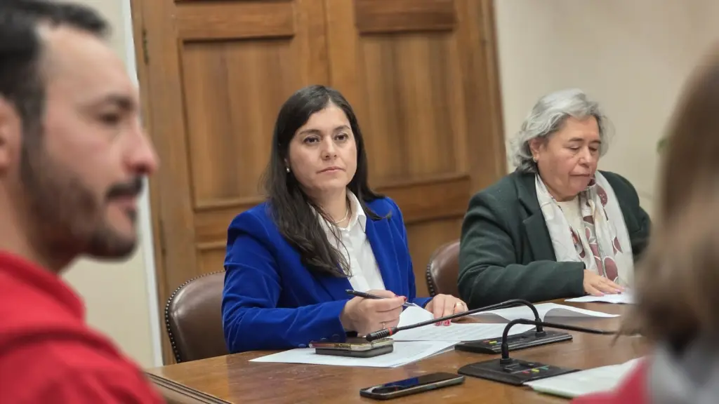 A juicio de la parlamentaria, la falta de entendimiento político en un tema estratégico proyecta una señal de debilidad institucional.