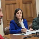 A juicio de la parlamentaria, la falta de entendimiento político en un tema estratégico proyecta una señal de debilidad institucional.