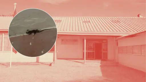 Escuela Rural de Los Ángeles continúa sin clases tras hallazgo de fecas de ratón en cocina y comedor