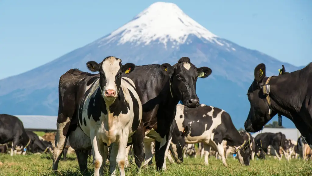 El Acuerdo de Producción Limpia busca implementar la versión renovada del Estándar de Sustentabilidad enmarcado en el Programa Chile Origen Consciente.