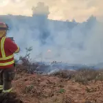 CONAF extiende levantamiento de la restricción del uso del fuego en la Región del Biobío, Conaf Biobío