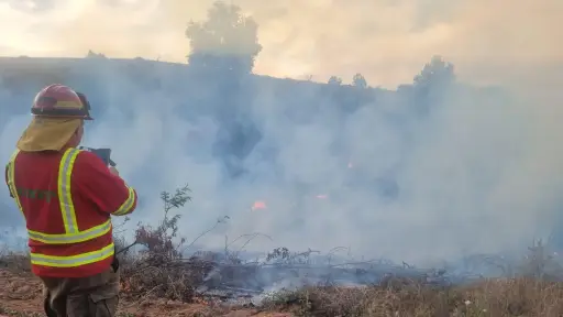 Hasta este jueves: CONAF extiende levantamiento de la restricción del uso del fuego en la Región del Biobío