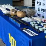 Especies incautadas por detectives de la PDI, PDI Biobío