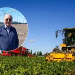 Agricultor de Los Ángeles rompe récord mundial en producción de achicoria, La Tribuna
