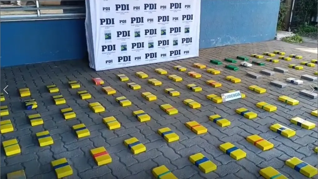 Opeativo permitió sacar de circulación más de 130 kilos de droga, PDI Biobío