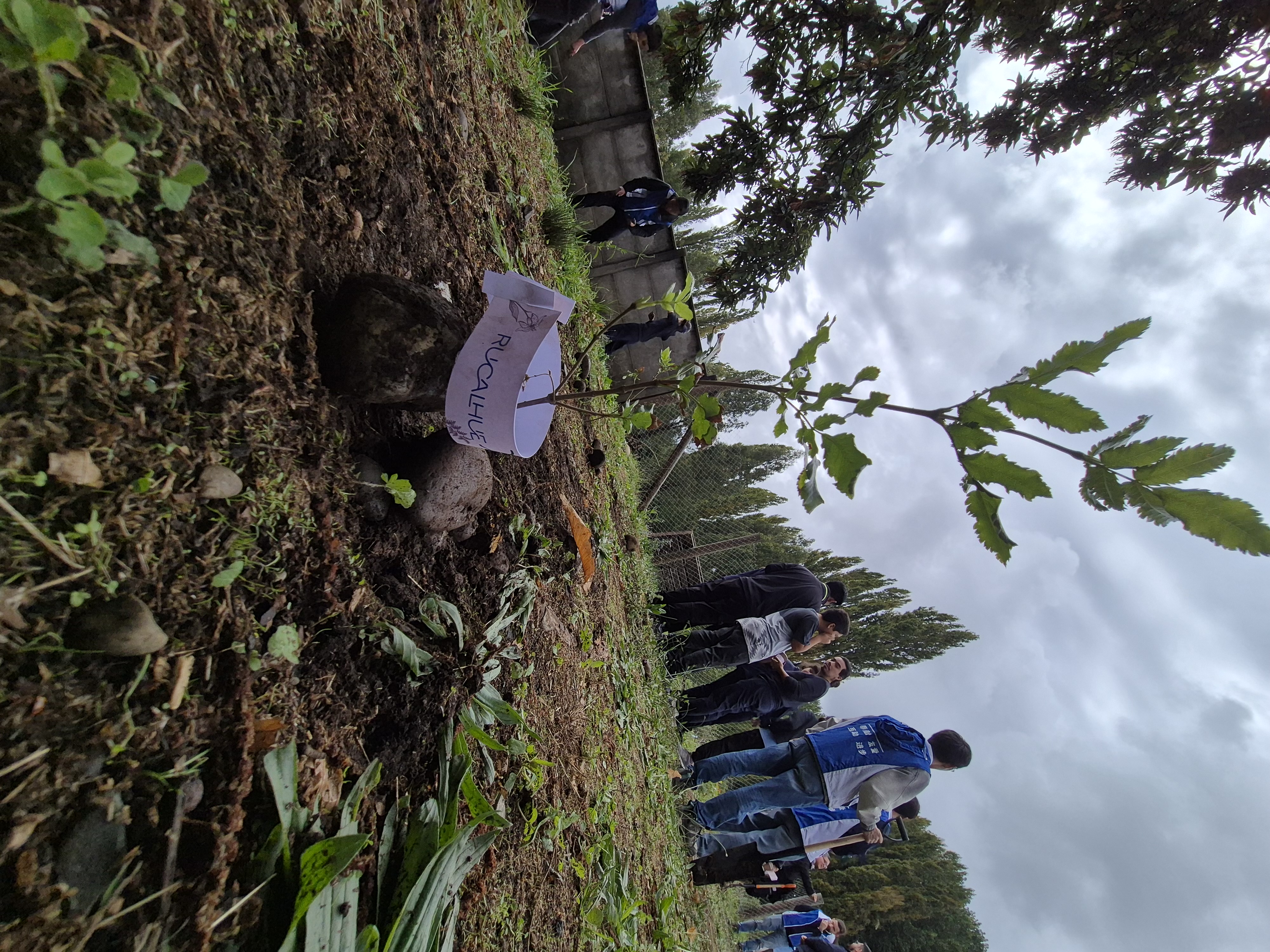 Registro de la actividad. / Rucalhue Energía SpA