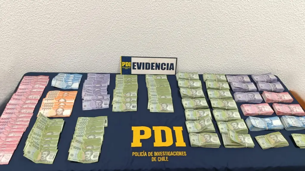 Especies incautadas por detectives de la PDI en Lautaro, PDI Araucanía