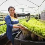 La nueva estrategia 2025-2035 busca potenciar el rol de las mujeres en la producción de alimentos y seguridad alimentaria del país a través del acceso equitativo a recursos y tecnología.