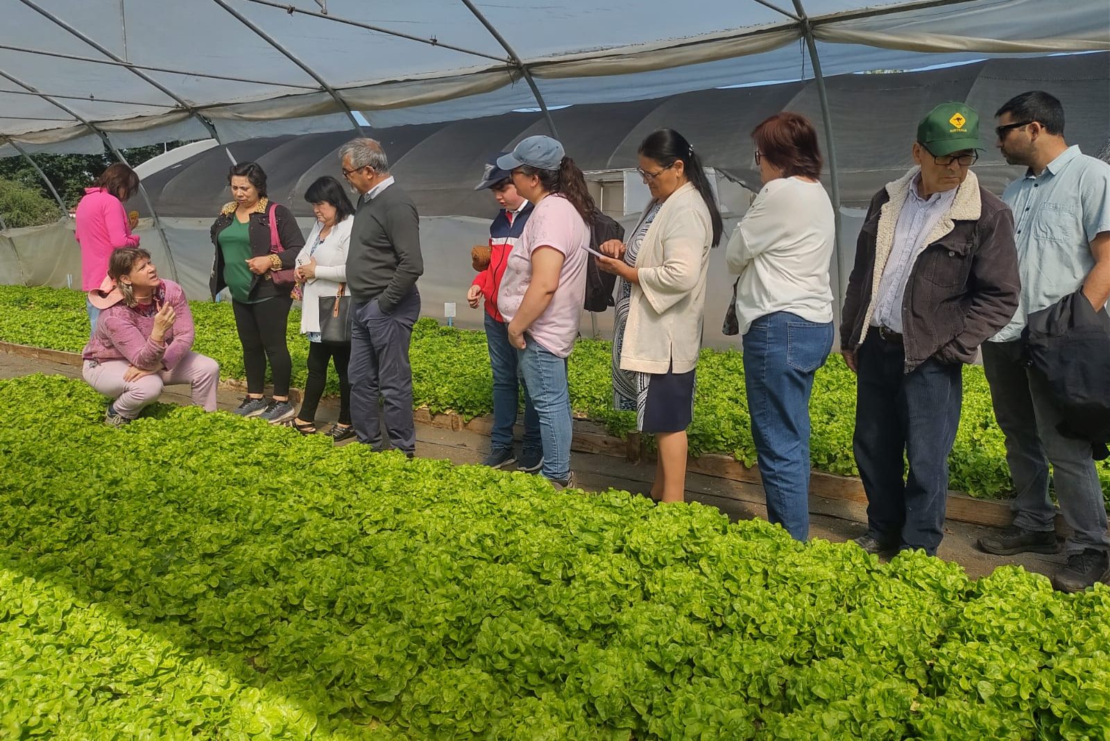 Fotografía de contexto. / Diario Frutícola