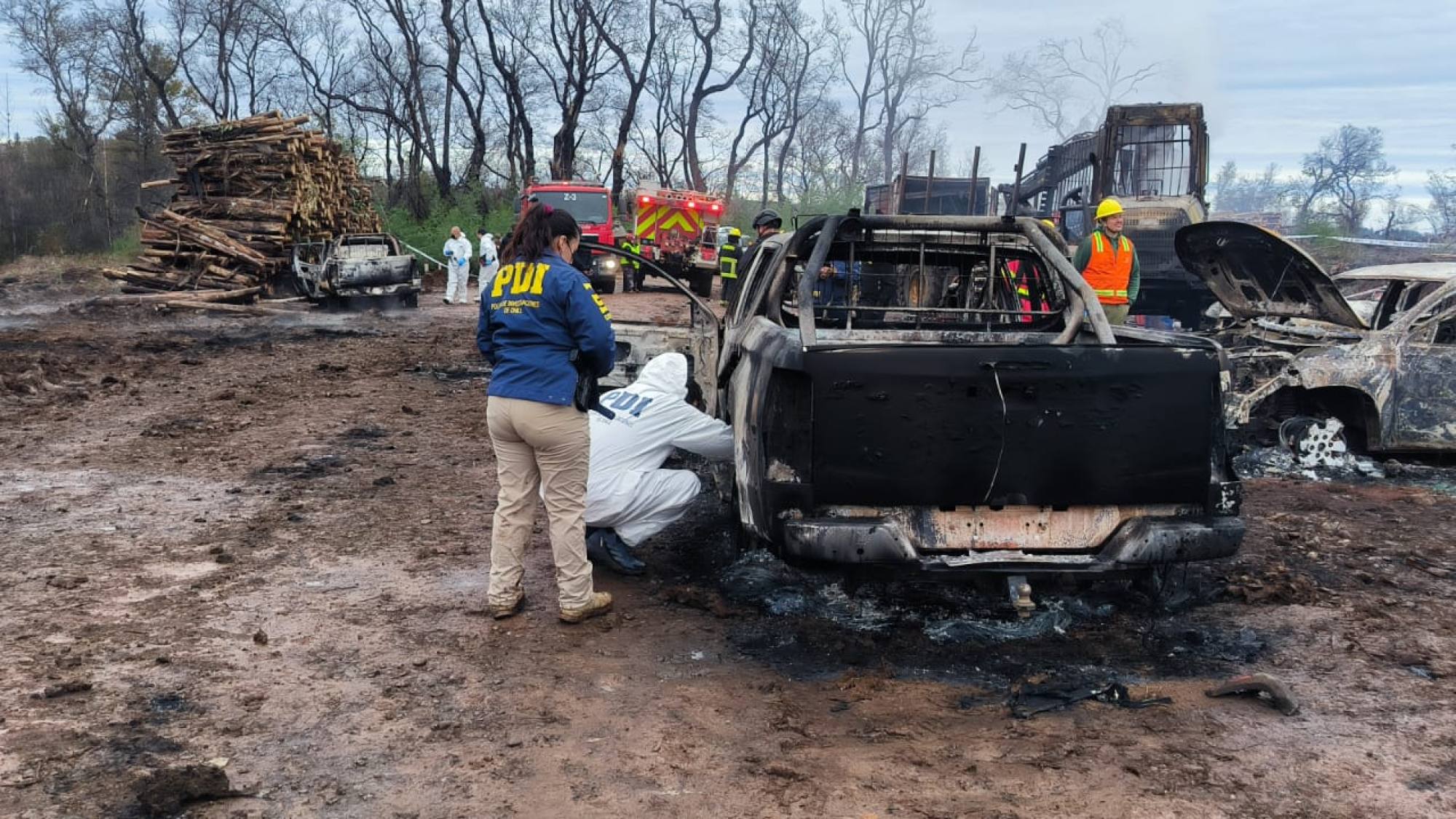 Menos ataques, misma incertidumbre: la violencia sigue frenando a la industria forestal