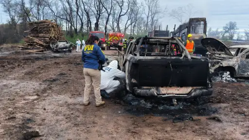 Menos ataques, misma incertidumbre: la violencia sigue frenando a la industria forestal