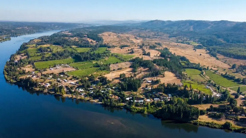 Trail Running “Entre Vendimias” llega a Nacimiento este 25 de abril, referencial