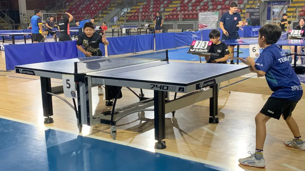 Competidores de distintas comunas protagonizaron intensos duelos en el Primer Campeonato Interregional de Tenis de Mesa, disputado en el Polideportivo Municipal de Los Ángeles, La Tribuna