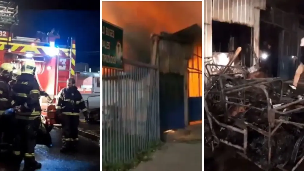 Incendio destruye dos bodegas comerciales en sector La Vega de Los Ángeles, Radar Biobío