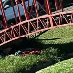 Fallecido en Av. Colo Colo, Cedida 